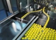good manufacturing practices